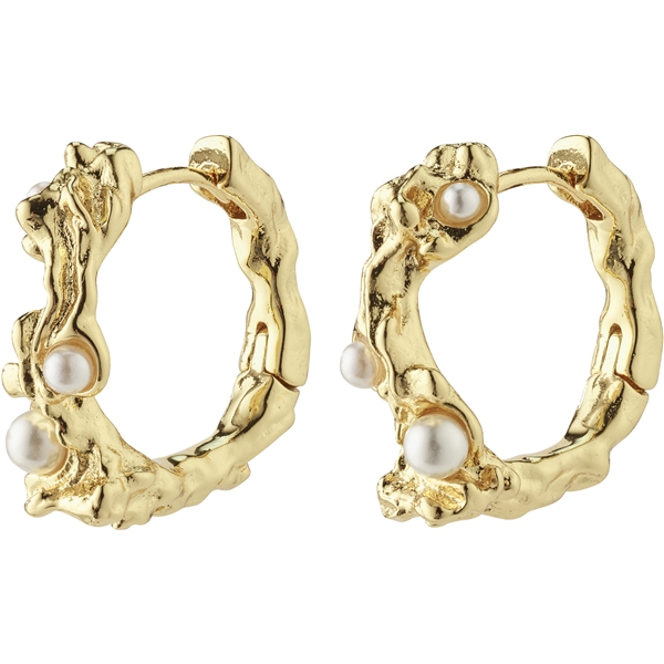 60241-2003 RAELYNN Earrings (Bilde 1 av 3)