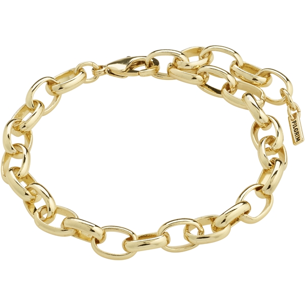 40243-2042 CHARM Bracelet (Bilde 1 av 8)