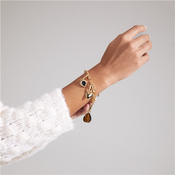 40243-2042 CHARM Bracelet (Bilde 6 av 8)