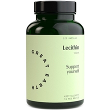 120 tabletter - Great Earth Lecithin