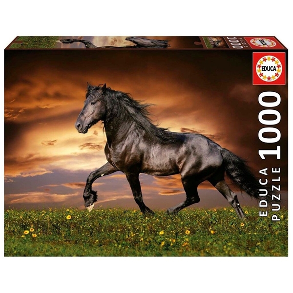 Educa Puslespill 1000 Biter Trotting Horse (Bilde 1 av 3)