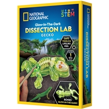 National Geographic Gecko Dissection Lab