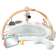 Skip Hop Discoverosity Babygym