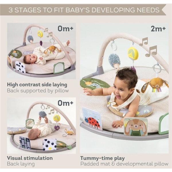 Taf Toys Tummy-Time Activity Gym (Bilde 3 av 4)